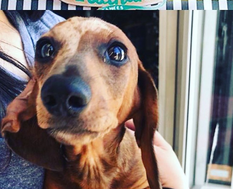 A Hot Dog of an adventure in Coney Island!