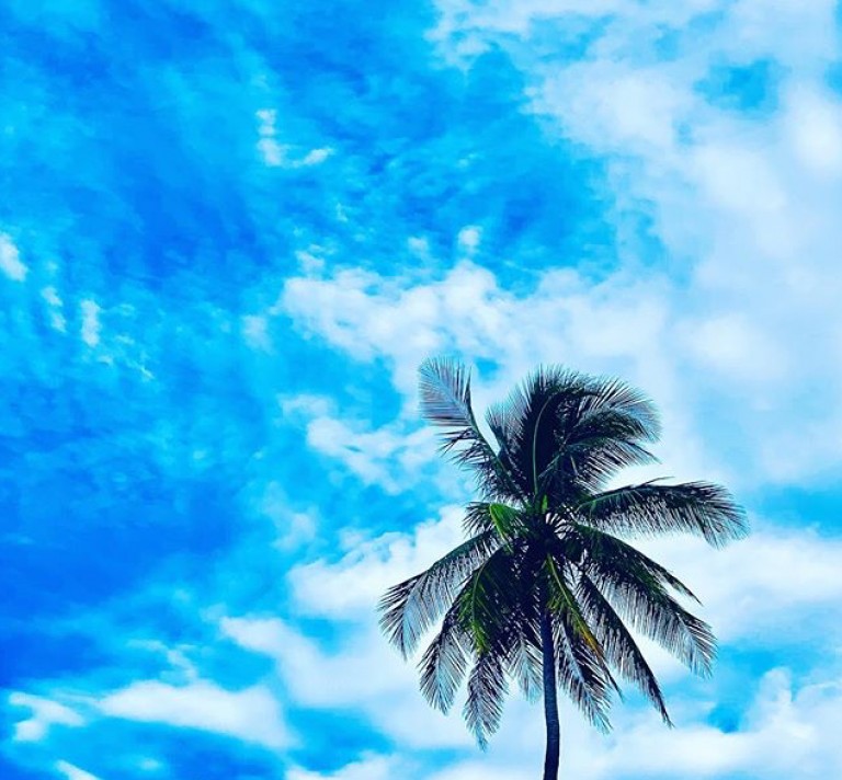 Costa Rica! Inspired by Paradise